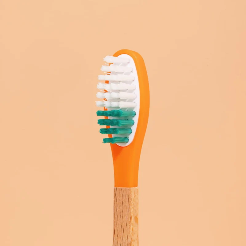 Brosse Ă dents Ă tĂȘte rechargeable (poils souples) - Image 2