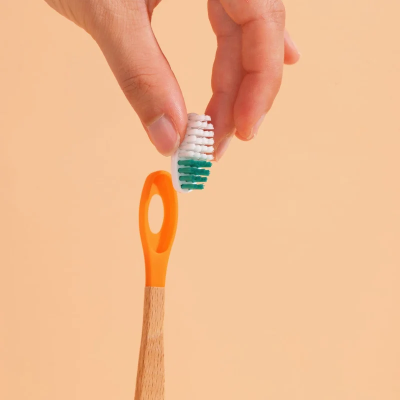 Brosse Ă dents Ă tĂȘte rechargeable (poils souples) - Image 5