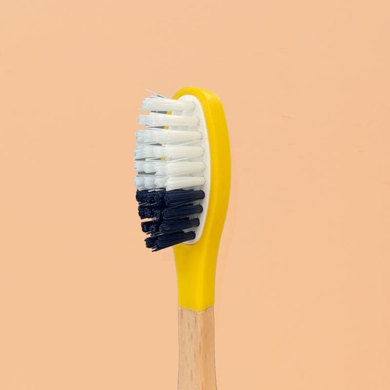 Brosse à dents à tête rechargeable (poils medium) - Image 3