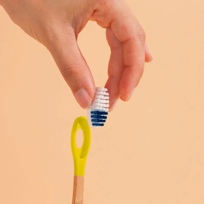 Brosse à dents à tête rechargeable (poils medium) - Image 5
