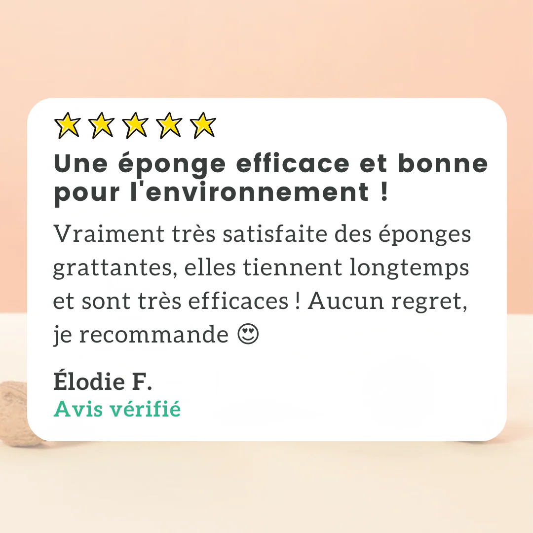 Éponge Grattante Végétale X2 - Image 4