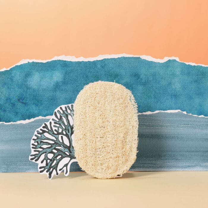 Porte-Savon Luffa